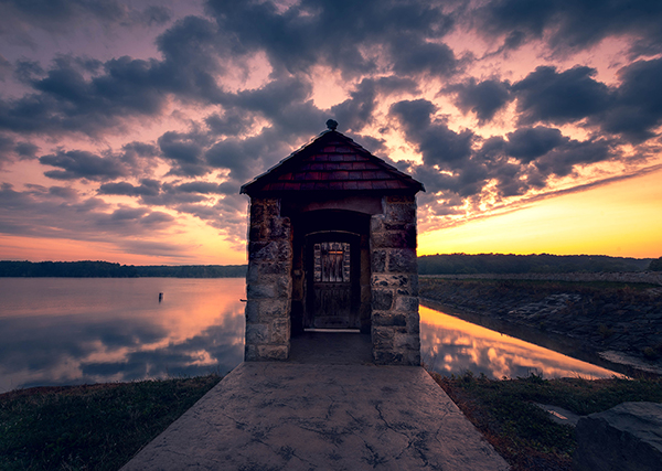 © Rhonda Coe