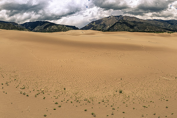 © Paul Winner
