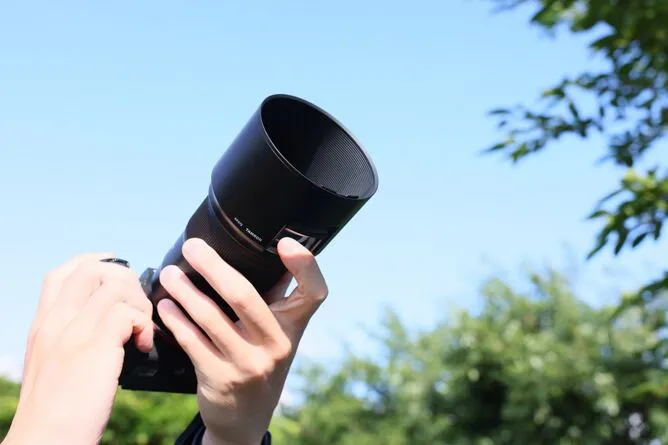 Amazon.com : Tamron F004 90mm F/2.8 Macro VC USD Lens for