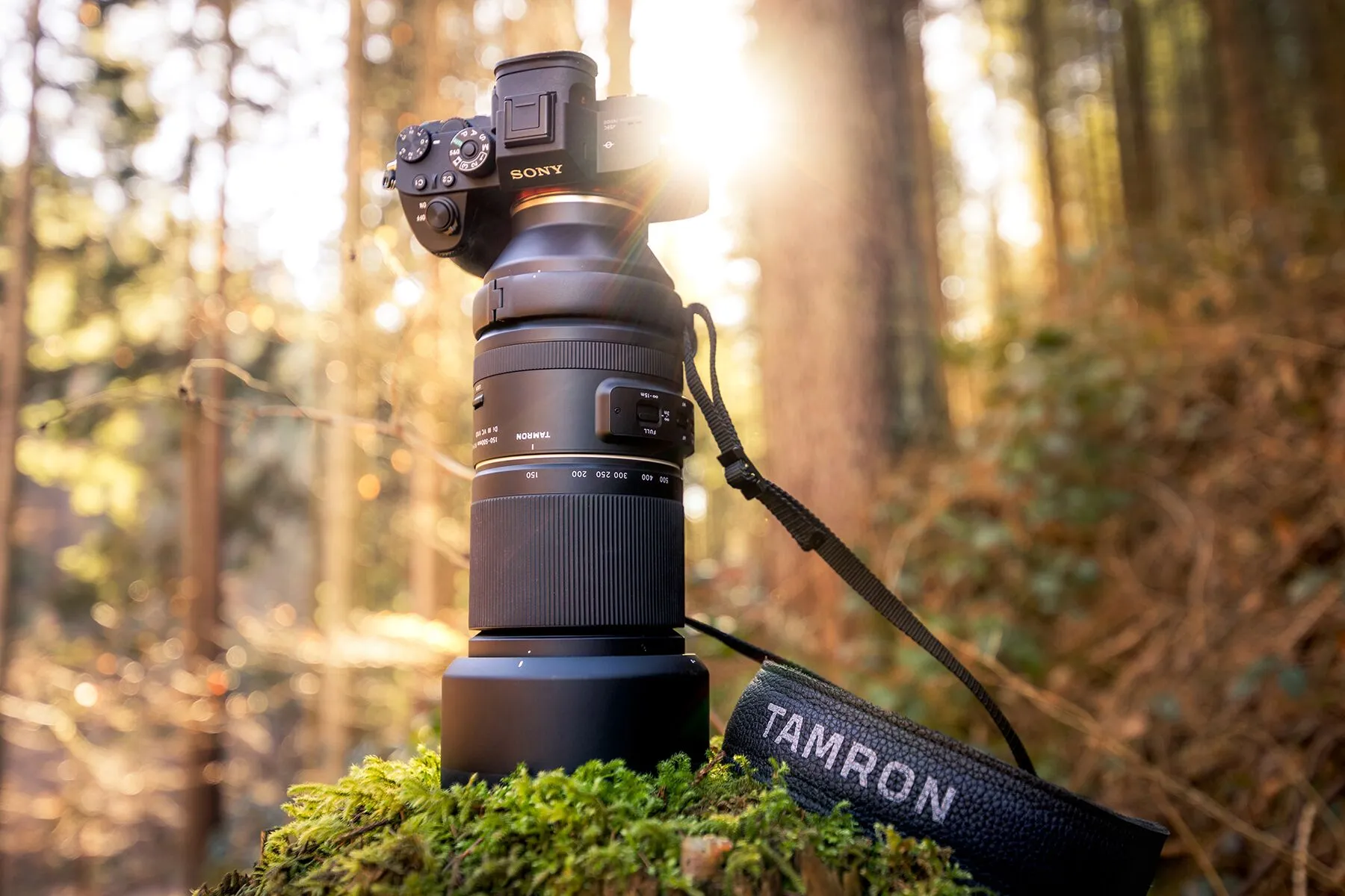 Tamron 150-500mm F/5-6.7 Di III VC VXD Ultra-Telephoto Lens