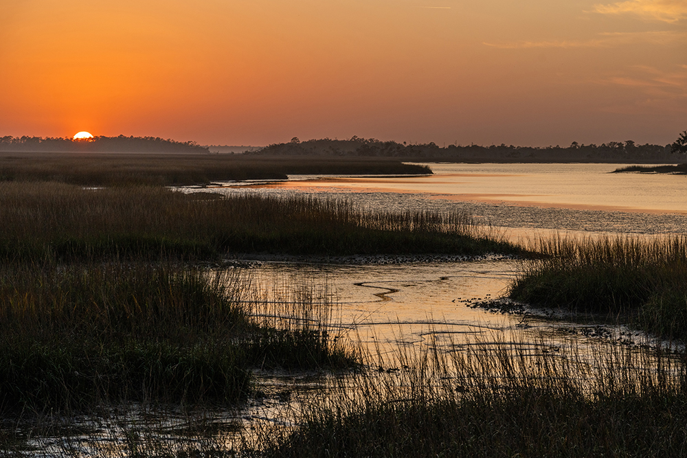 Golden sunset over a coastal marshland with reflective waters and textured grasses, demonstrating the Tamron 35-150mm F2-2.8 lens’s dynamic range and sharpness in low-angle light during this hands-on review.