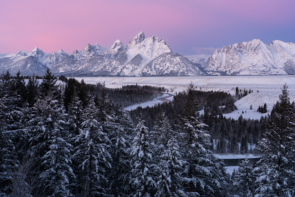 Snow-covered pines lead to the distant Grand Tetons at sunrise, captured with stunning clarity and soft pastel tones using the Tamron 35-150mm F2-2.8—showcasing the lens's performance in this real-world review.
