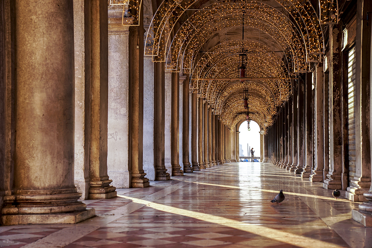 Pigeon in marble hallway in Venice