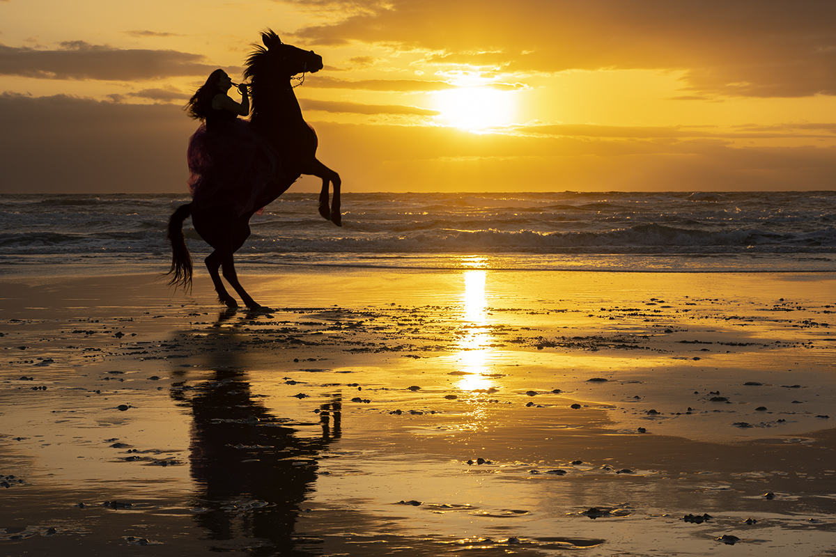 Rider on a horse on the beach at sunset