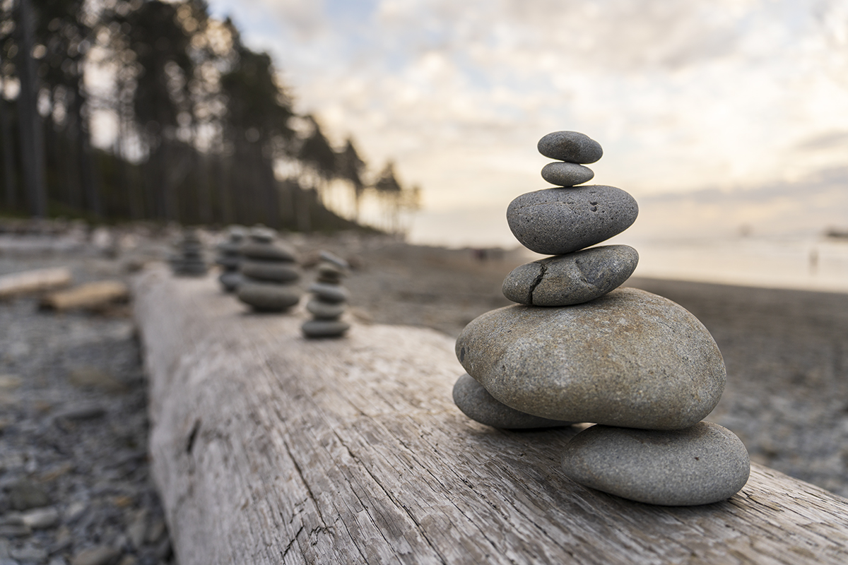 Rocks balancing on a log on the beach