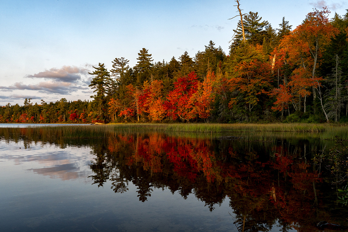 A lake with fall color leaves on trees