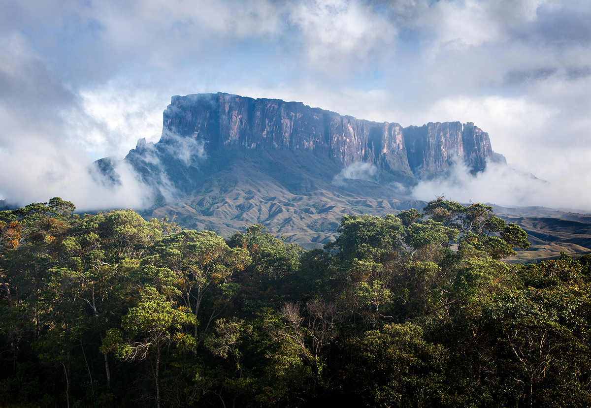 A majestic flat-topped mountain rising above a dense forest, partially shrouded in clouds.