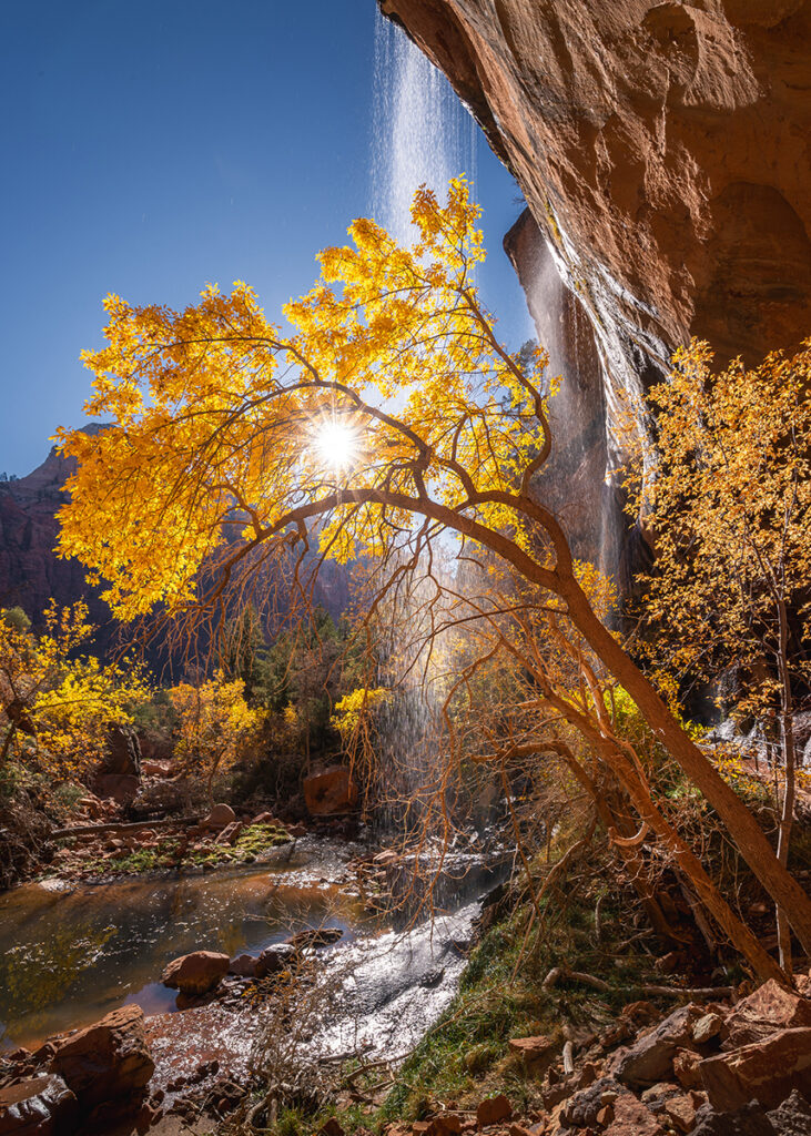 Golden autumn leaves glow in the sunlight near a waterfall cascading over a cliff, with a clear blue sky and rocky landscape in the background.