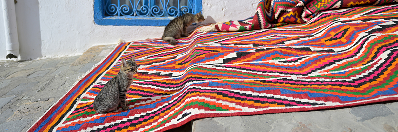 Deux chatons jouent sur un tapis multicolore et vibrant posé sur une surface en pierre, avec un mur blanc aux fenêtres bleues en arrière-plan.