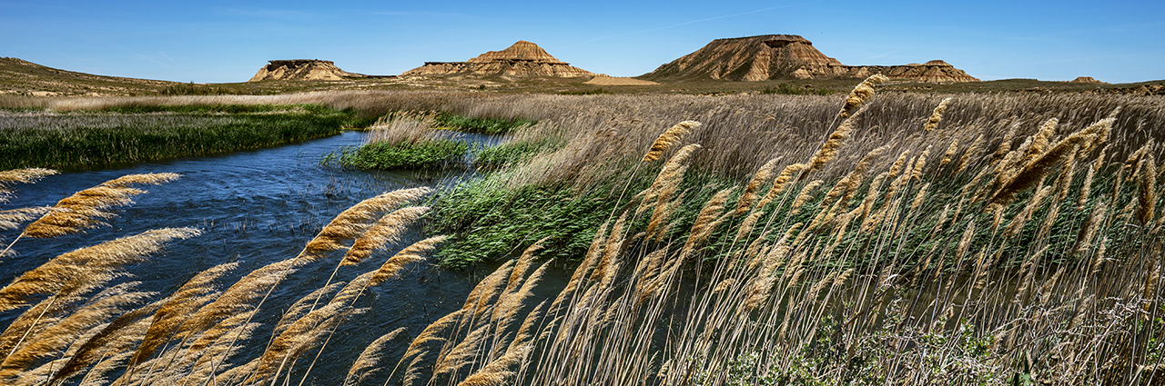 A serene landscape with a river, swaying reeds, and rugged hills under a clear blue sky.