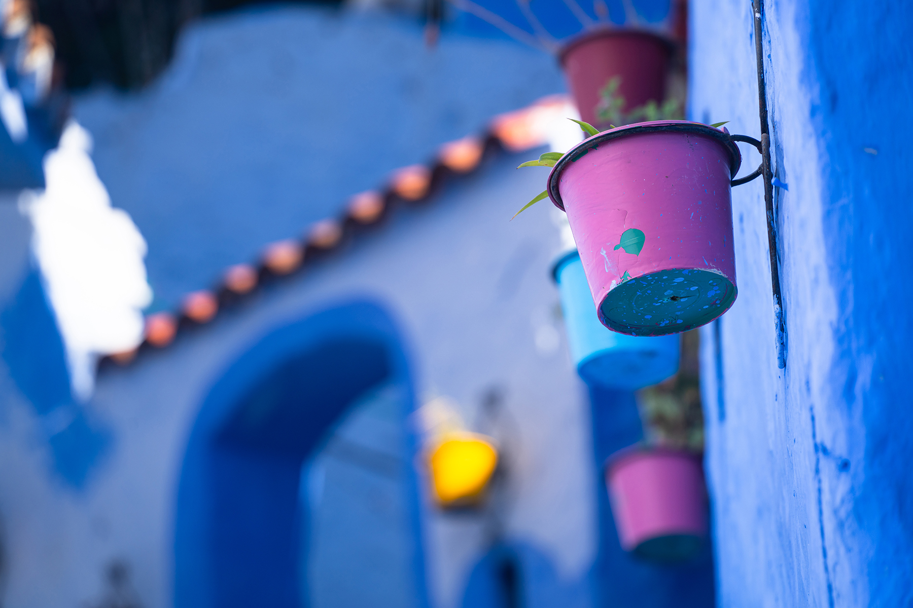 Vibrant pink and blue flower pots mounted on a textured blue wall in a colorful Moroccan alley, demonstrating the artistic use of depth of field in travel photography.