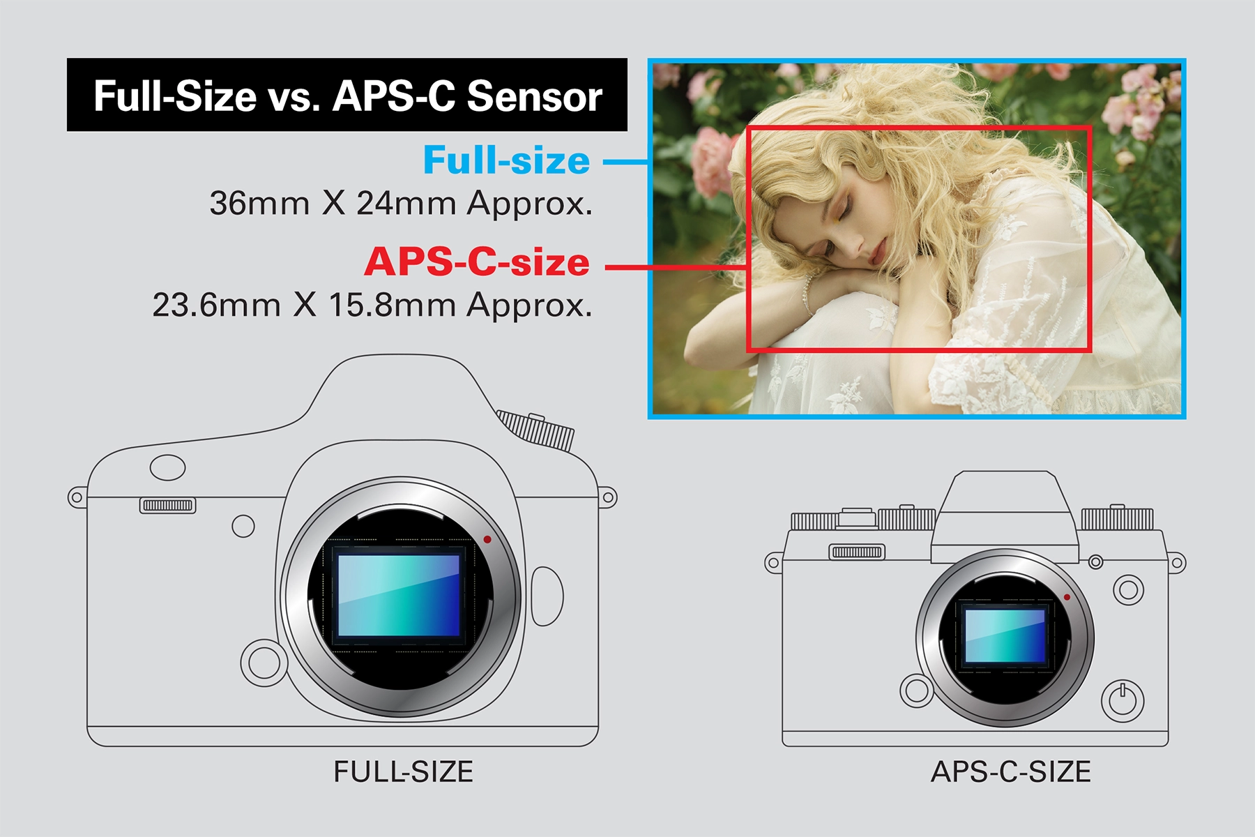 Diagrama comparativo de los sensores de imagen de tamaño completo y APS-C. El sensor de tamaño completo mide aproximadamente 36 mm x 24 mm, mientras que el sensor APS-C mide aproximadamente 23,6 mm x 15,8 mm. El gráfico muestra los tamaños relativos de ambos sensores para facilitar la comparación.