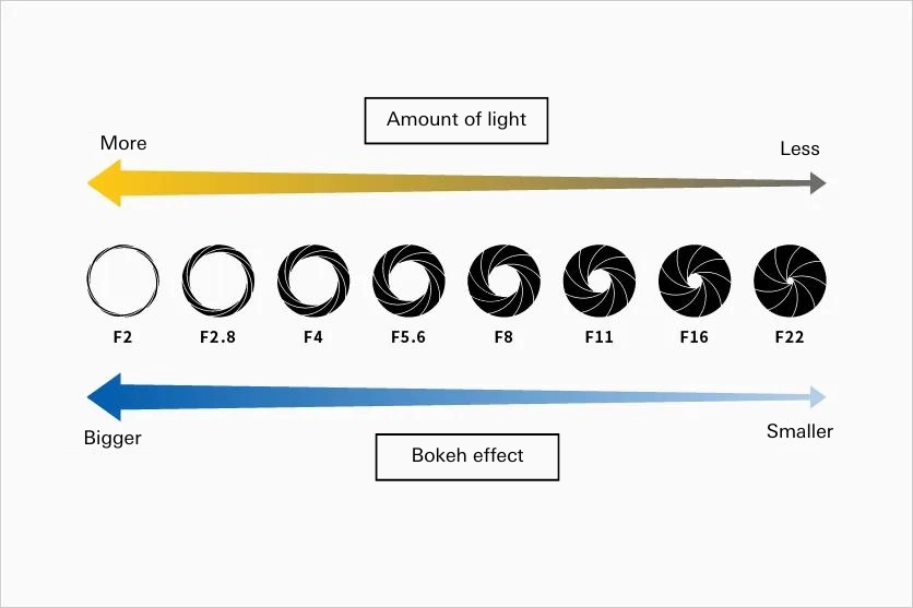 Diagram illustrating aperture sizes from F2 to F22, showing how larger apertures (lower f-numbers) allow more light and produce a stronger bokeh effect, while smaller apertures (higher f-numbers) let in less light and create less background blur.