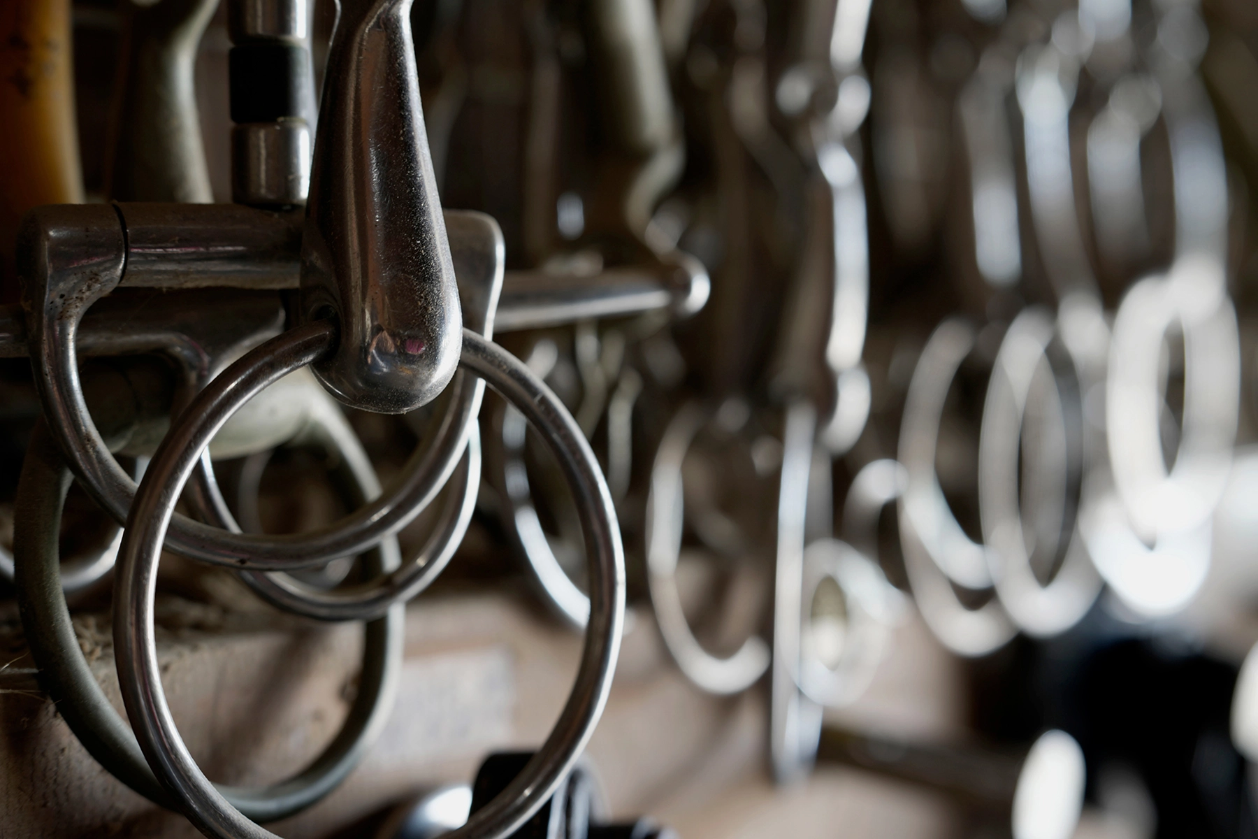 Close-up of equestrian bits hanging in a row, captured with a telephoto lens to emphasize detail and create background bokeh through shallow depth of field.