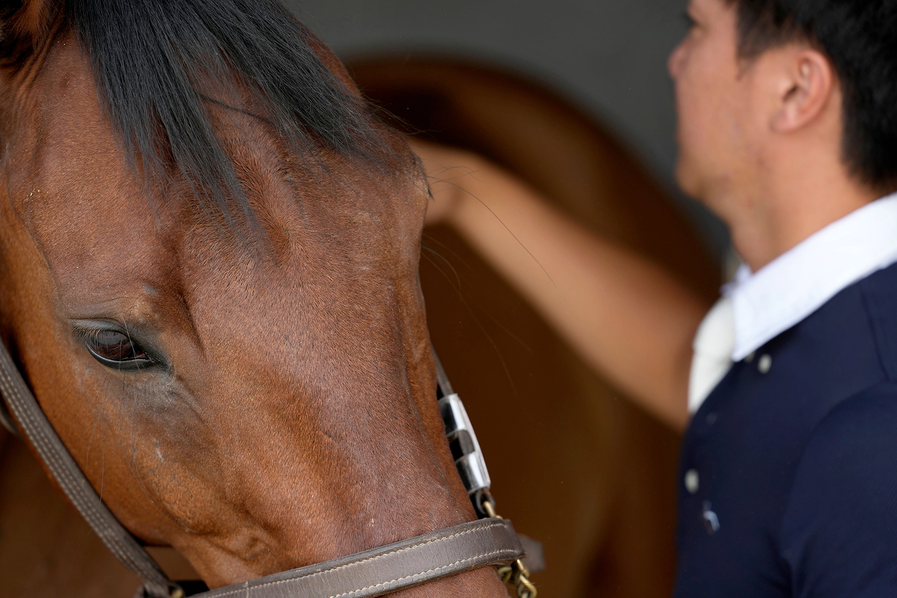 Close-up of a horse’s face with a soft-focus background showing a handler, demonstrating how a telephoto lens isolates subjects and captures fine texture detail.