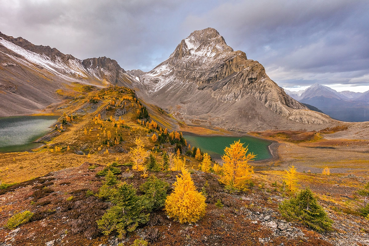 Vibrantes alerces dorados salpican un paisaje alpino bajo un imponente pico cubierto de nieve, con lagos esmeralda enclavados en el escarpado terreno bajo cielos nublados.