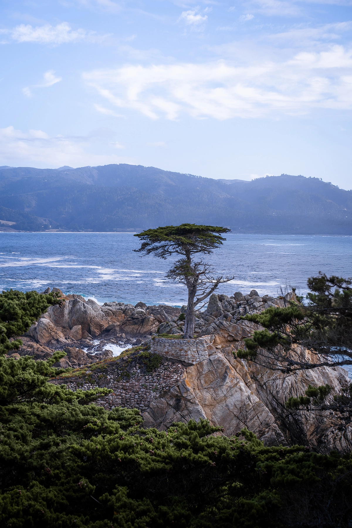 El Ciprés Solitario encaramado a un saliente rocoso a lo largo del pintoresco 17-Mile Drive de California, con las olas del océano y las lejanas montañas de fondo.