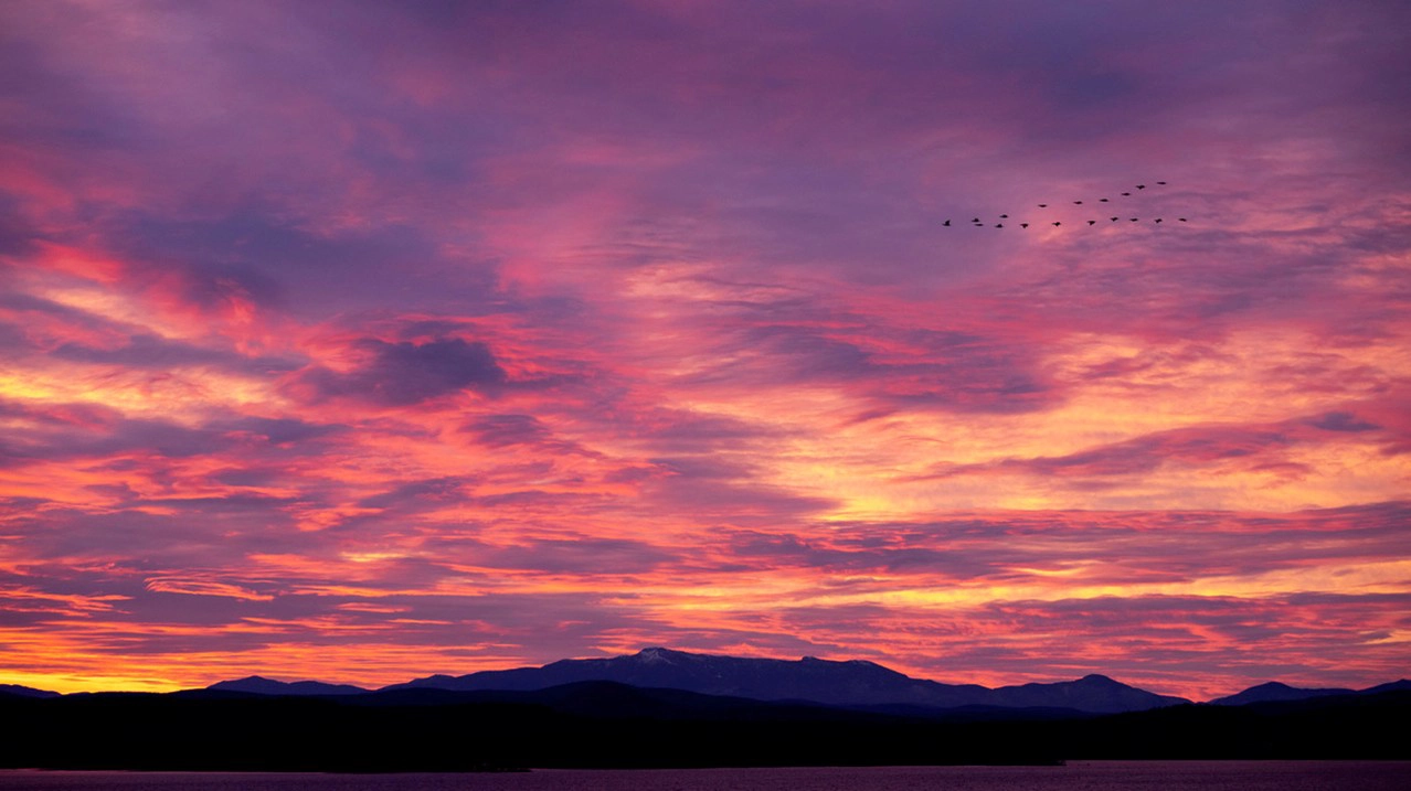 Una vibrante puesta de sol sobre montañas lejanas, con tonos rosas, naranjas y púrpuras llenando el cielo, mientras una bandada de pájaros surca graciosamente el horizonte.