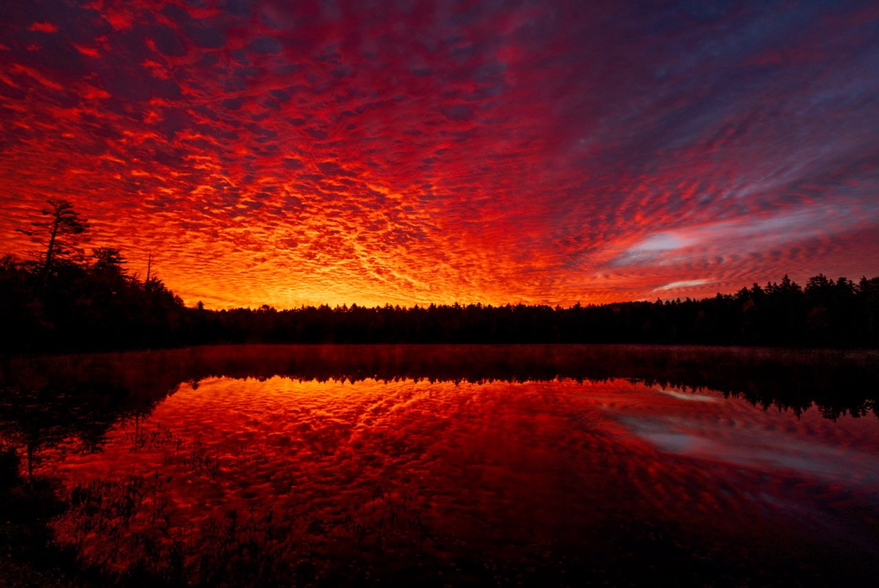 Una ardiente puesta de sol proyecta un dramático resplandor sobre un lago bordeado de bosques, con rojos y naranjas profundos que llenan el cielo texturizado y se reflejan vívidamente en el agua.