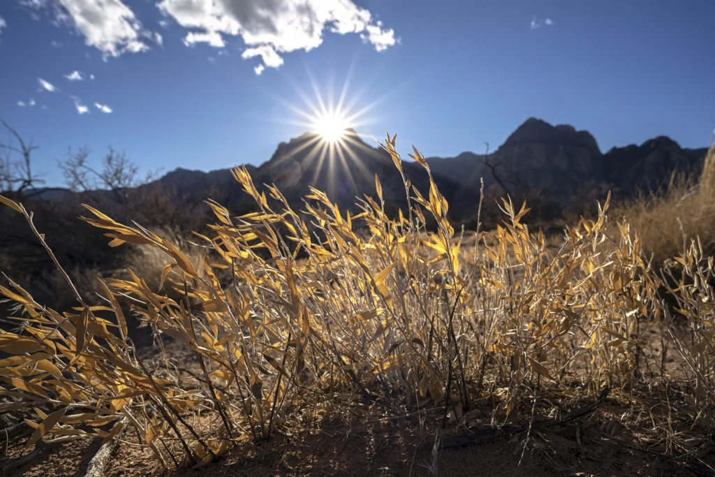 Montanhas ligeiramente fora de foco, com vegetação em contraluz e um raio de sol sobre a montanha.