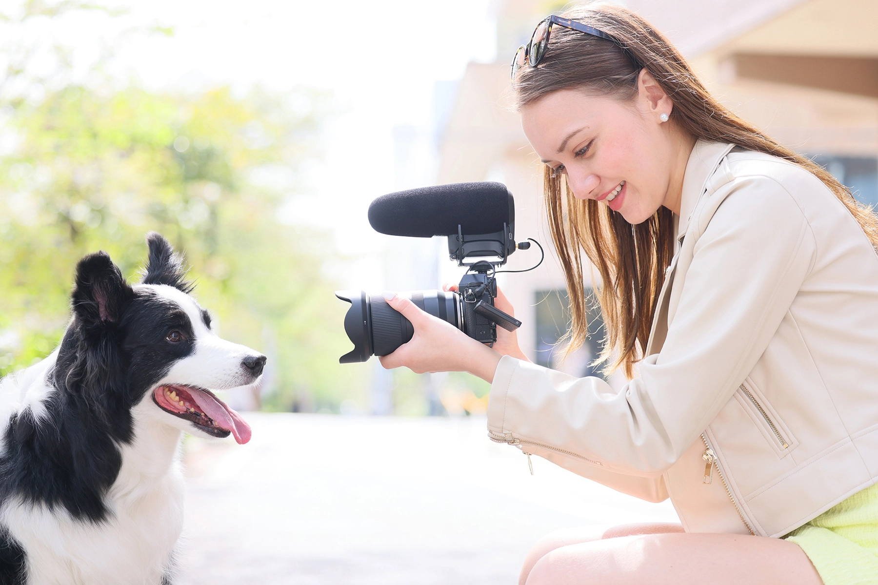 Une femme souriante enregistre un Border Collie noir et blanc avec un appareil photo sans miroir et un microphone externe, capturant un moment candide en extérieur dans une lumière naturelle douce.