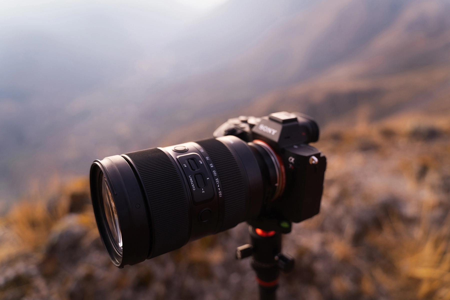 Objetivo TAMRON 35-150 mm F/2-2,8 Di III VXD montado en una cámara Sony Alpha durante una fotografía en exteriores en la hora dorada sobre un trípode.