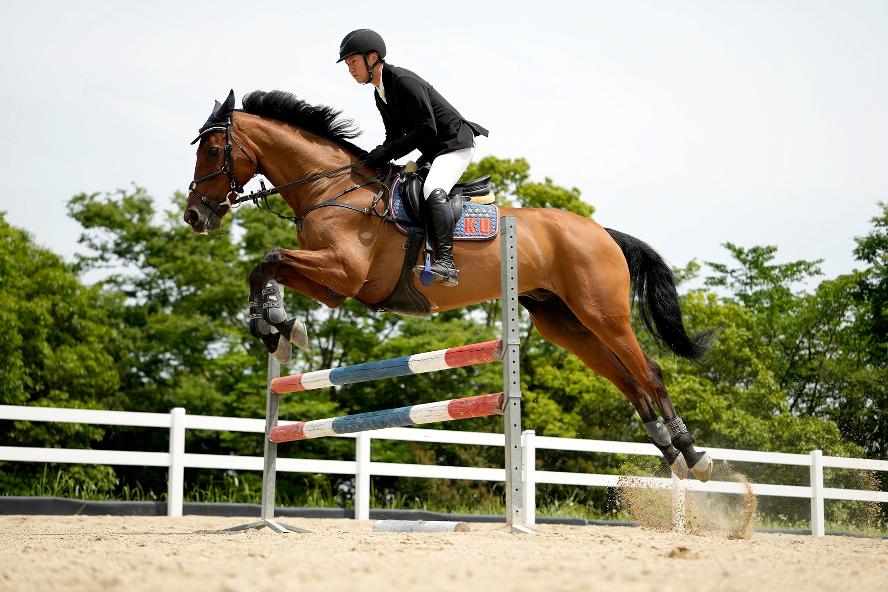 Jinete y caballo capturados en pleno salto durante una prueba de salto de obstáculos, con la arena levantándose del suelo de la pista y el fondo bien enfocado, destacando la precisión y el atletismo.