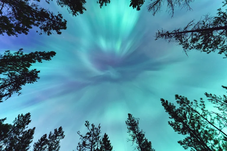 An upward view of the Northern Lights swirling above a forest canopy, photographed during a Tamron 16-30mm field test, demonstrating the lens’s ultra-wide angle and immersive perspective for night sky photography.