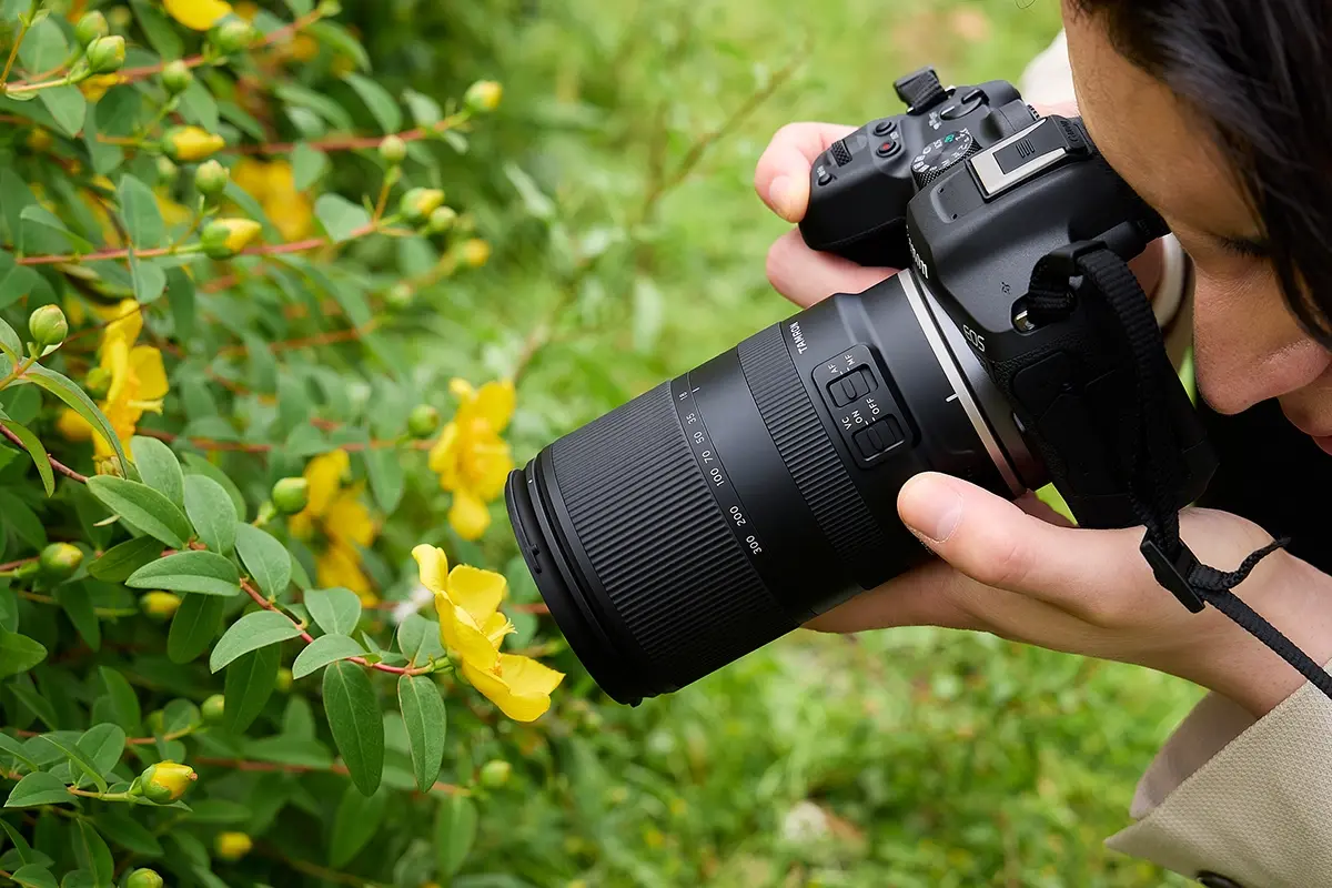 Fotógrafo usando uma câmera sem espelho Canon EOS com lente de montagem Tamron 18-300 mm RF para capturar detalhes em close-up de flores amarelas.