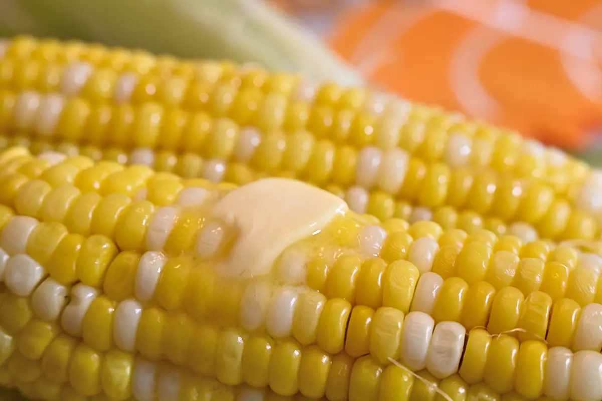Primer plano de mantequilla derritiéndose sobre mazorca de maíz fresca, capturada en tonos cálidos para fotografía de alimentos y bebidas de otoño.