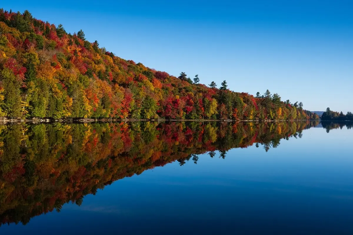 Vivid autumn forest reflected on a calm lake under a clear blue sky—ideal for fall foliage photography with Tamron lenses and wide-angle composition.