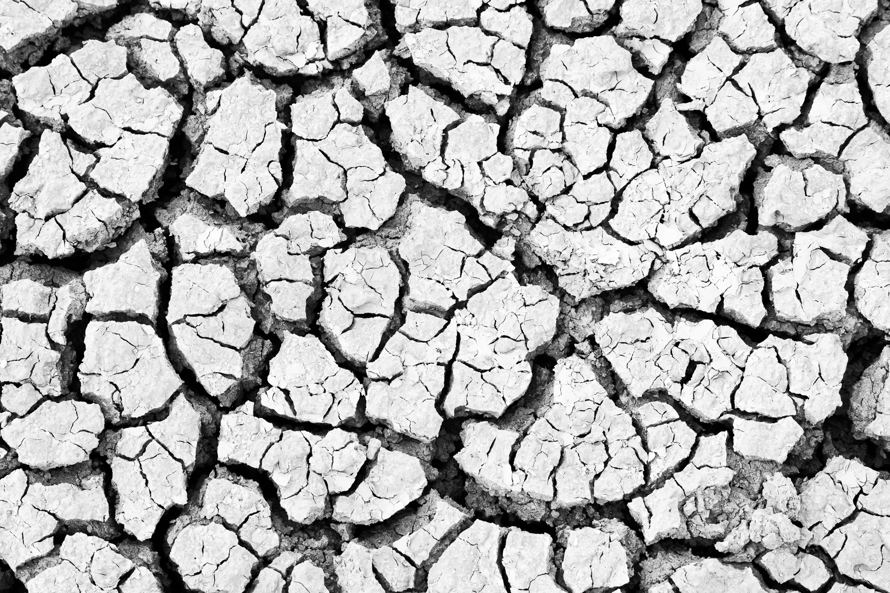 Close-up of cracked dry earth forming intricate patterns in the Badlands, highlighting natural textures and details.