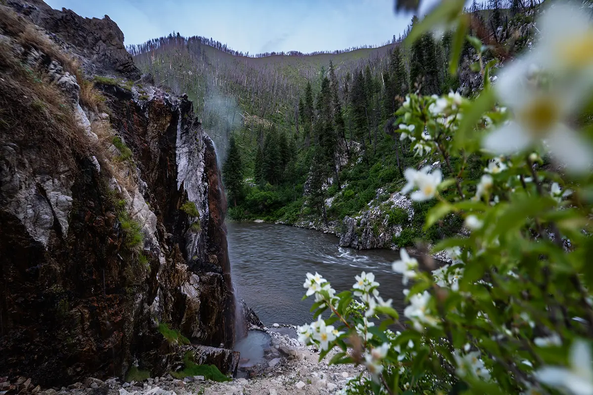 Rivière pittoresque et cascade encadrée de fleurs sauvages, mettant en valeur la nature dans les conseils de photographie de voyage.