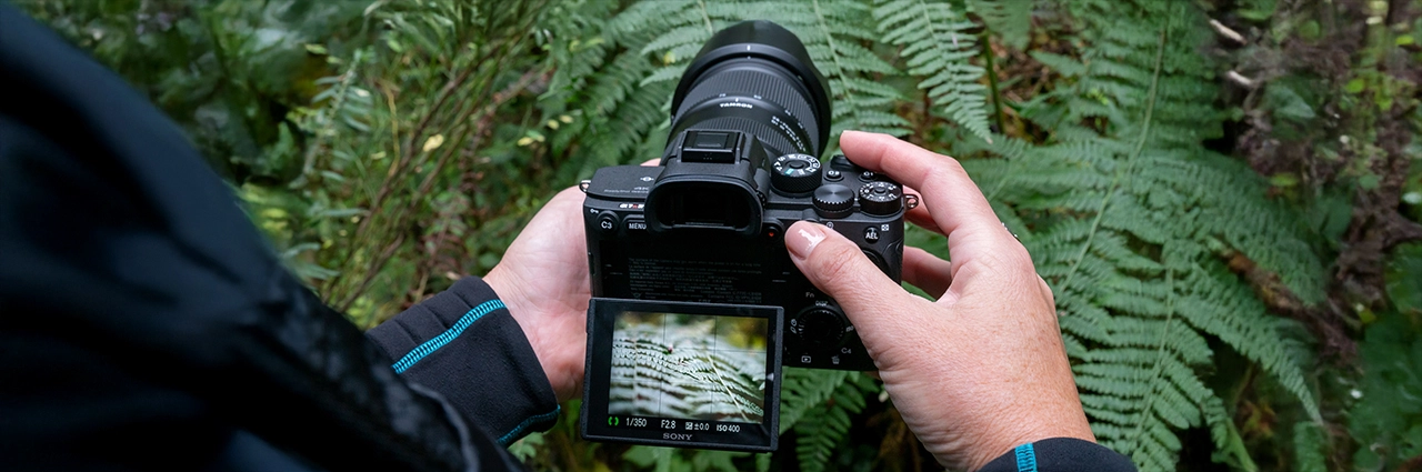 Videógrafo ajustando una cámara sin espejo Sony con un objetivo Tamron, captando un enfoque detallado de las hojas de helecho en un exuberante entorno al aire libre.