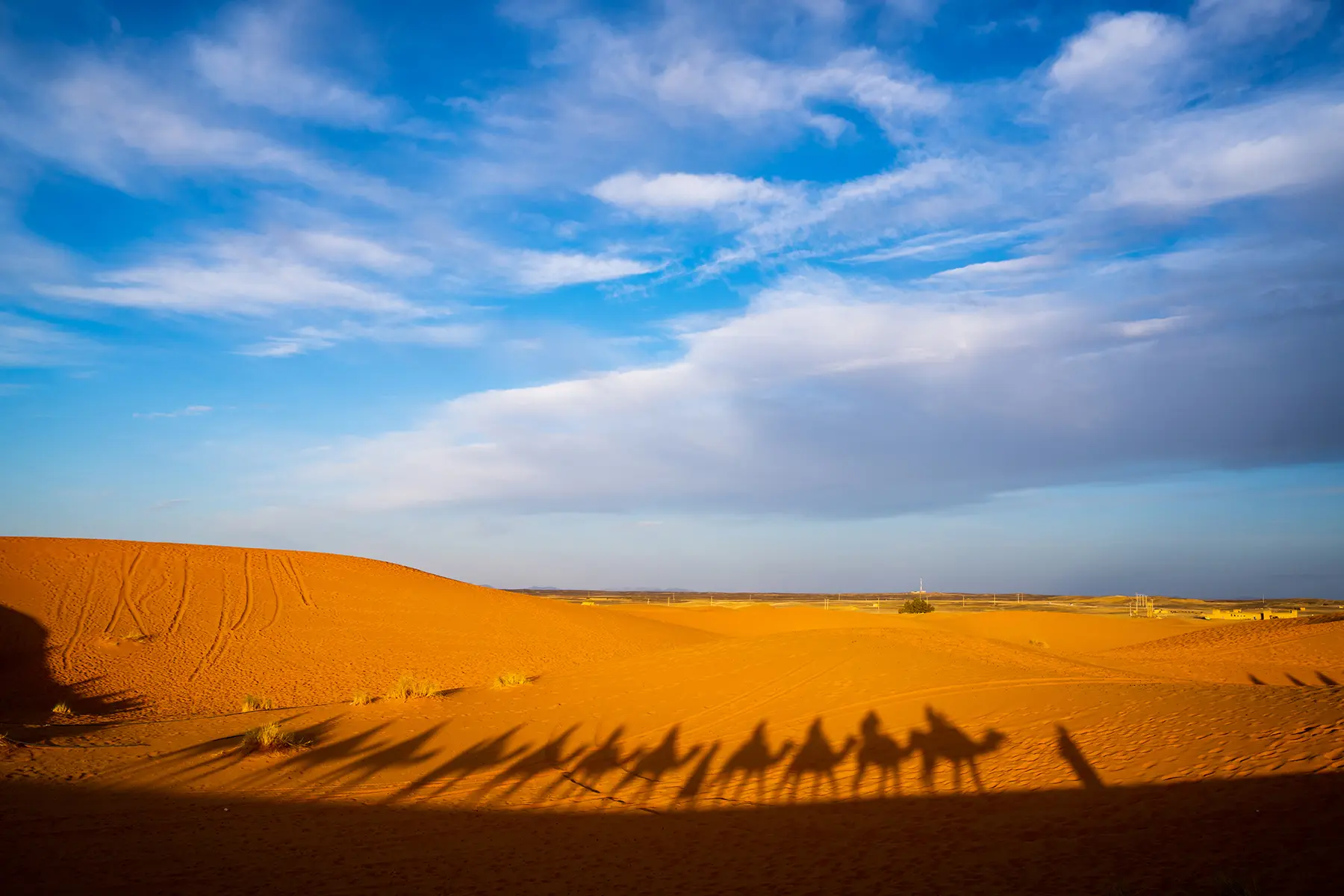 Ombres de chameaux sur les dunes de sable du désert photographiées avec un zoom tout-en-un