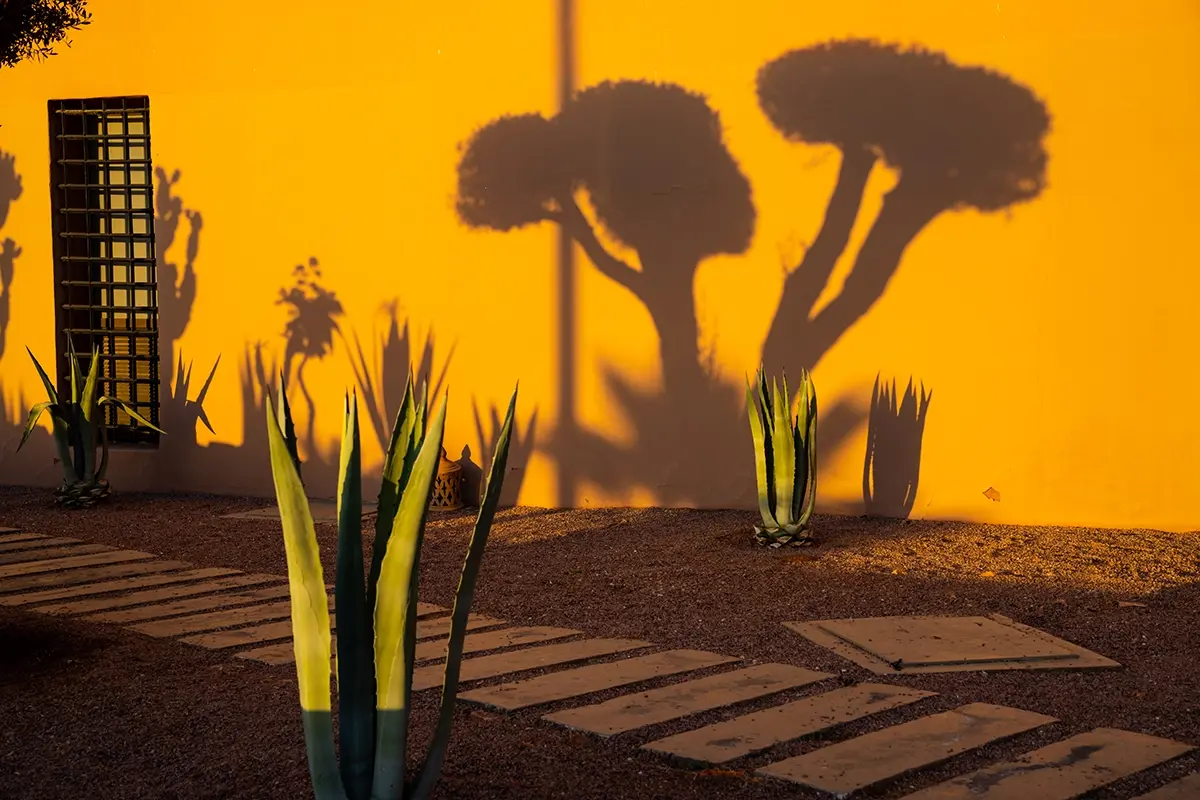 Fotografia da hora dourada, instantâneo cotidiano com sombras dramáticas na parede.