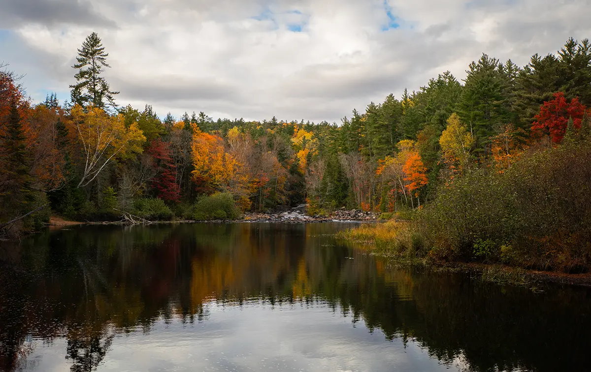 Reflections of the fall colored trees on a lake.