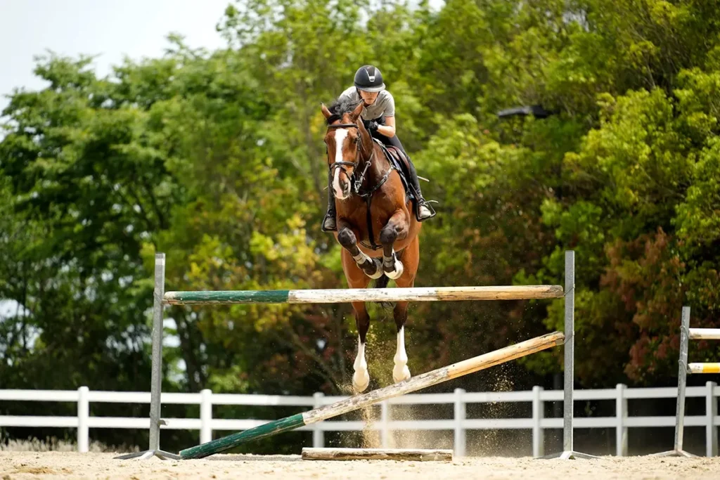 Equestrian rider and horse jumping over an obstacle during competition, captured at F2.8, highlighting speed and sharp detail against a blurred background.