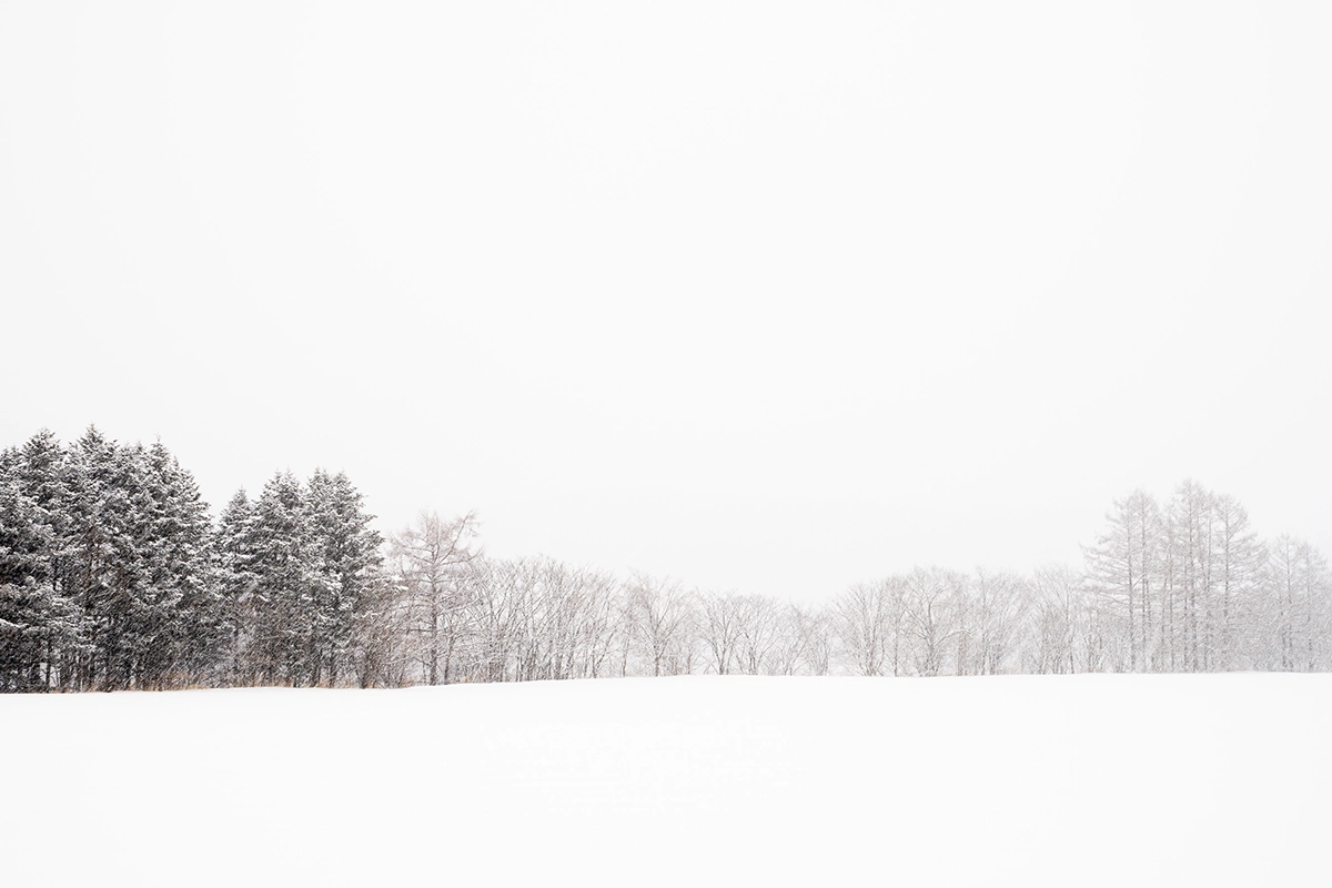 Serene minimalist snow-covered field with distant trees in Hokkaido, Japan