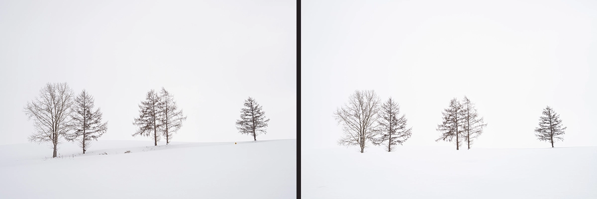 Side-by-side comparison of minimalist winter tree compositions in Hokkaido, Japan.