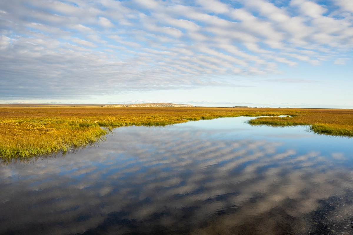 Reflets de nuages à motifs sur un étang calme de la toundra entouré d'herbes dorées.