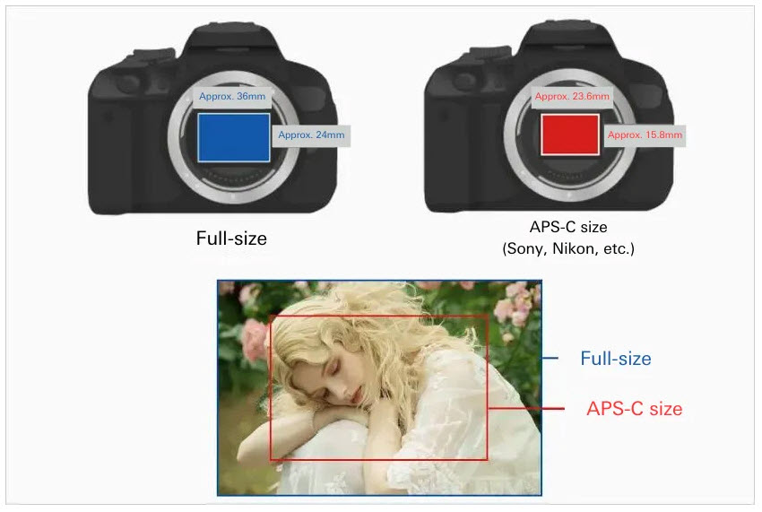 Diagrama comparativo de los tamaños de sensor de las cámaras APS-C frente a las de fotograma completo con un ejemplo de factor de recorte en una foto de retrato.
