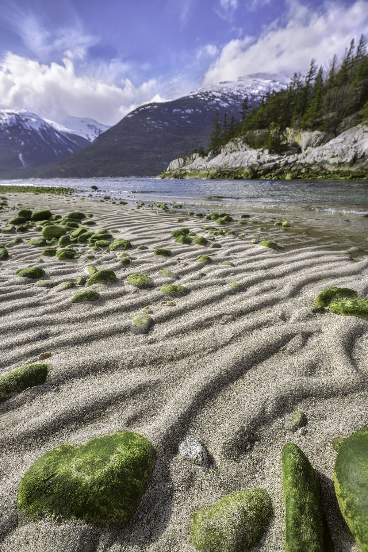 Un paysage côtier serein avec du sable ondulé et des rochers couverts de mousse au premier plan, une baie calme au milieu, et des montagnes enneigées et des pins sous un ciel bleu avec des nuages épars à l'arrière-plan.