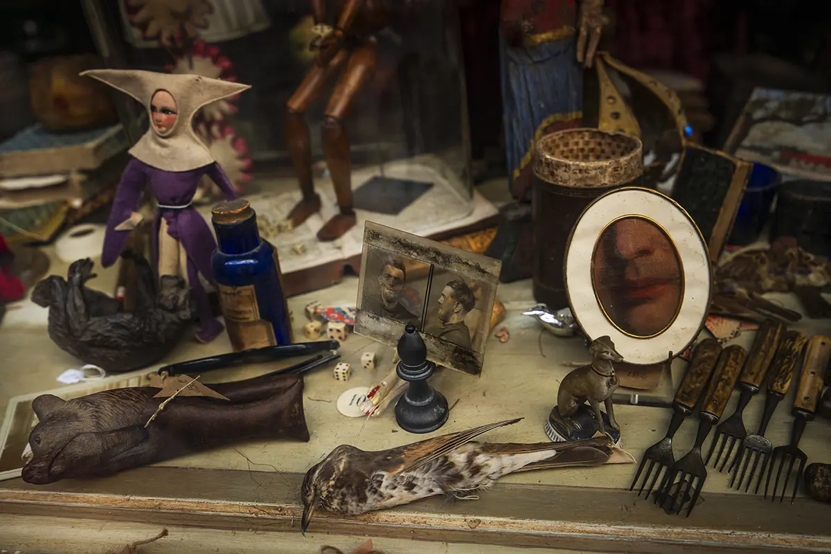 Une table débordant de bizarreries, allant de vieux tableaux et de l'argenterie à des pièces d'échecs, des dés, des figurines et même ce qui ressemblait à un oiseau taxidermisé.
