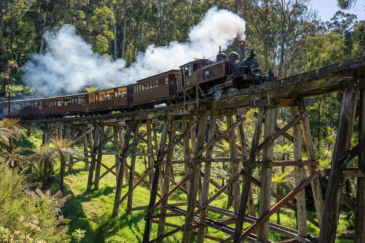 Un train à vapeur d'époque traverse un grand pont à chevalets en bois entouré d'une forêt verdoyante, la fumée s'échappant de sa cheminée sous une lumière du jour éclatante.