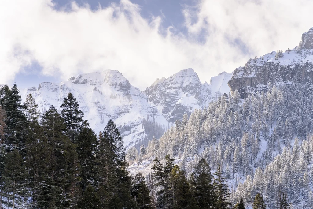 A mountain landscape with snow-covered peaks and evergreen forests.