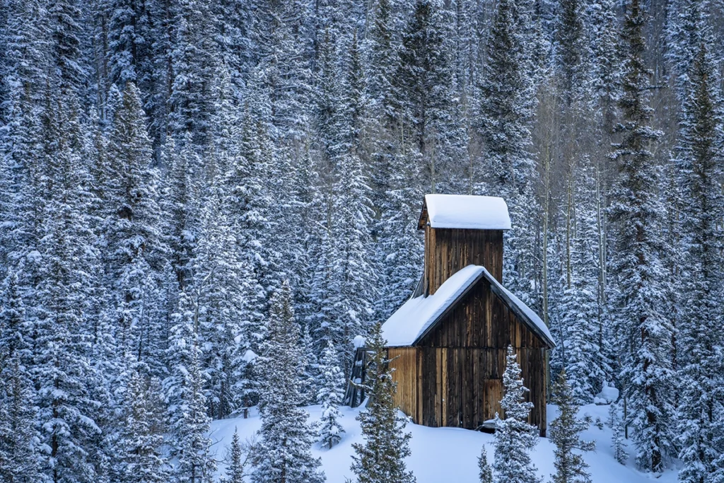 A wood house surrounded by snowy pine trees.