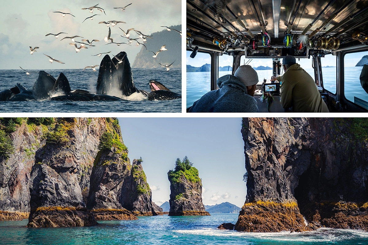 Récit visuel en trois images sur l'observation des baleines en Alaska, montrant des baleines, l'intérieur d'un bateau et le paysage côtier accidenté.