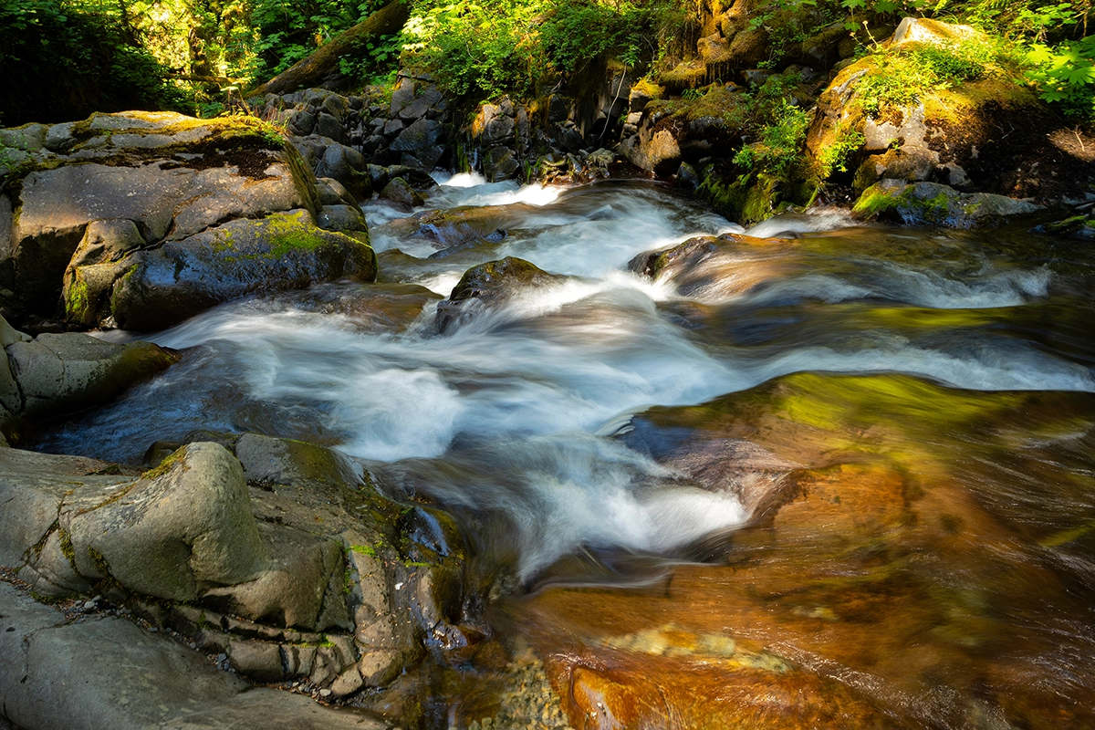 Ruisseau photographié avec une vitesse d'obturation lente pour créer un effet de mouvement d'eau soyeux dans une scène forestière lumineuse.