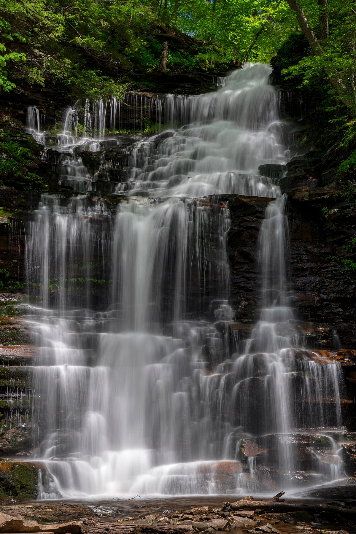 Cascade photographiée avec une vitesse d'obturation lente, créant un effet d'écoulement d'eau lisse et soyeux, entourée d'une forêt verdoyante.